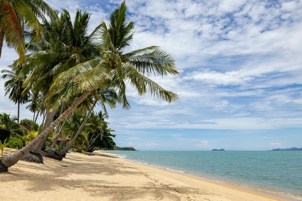 Aventuras inexploradas en el turismo actual
